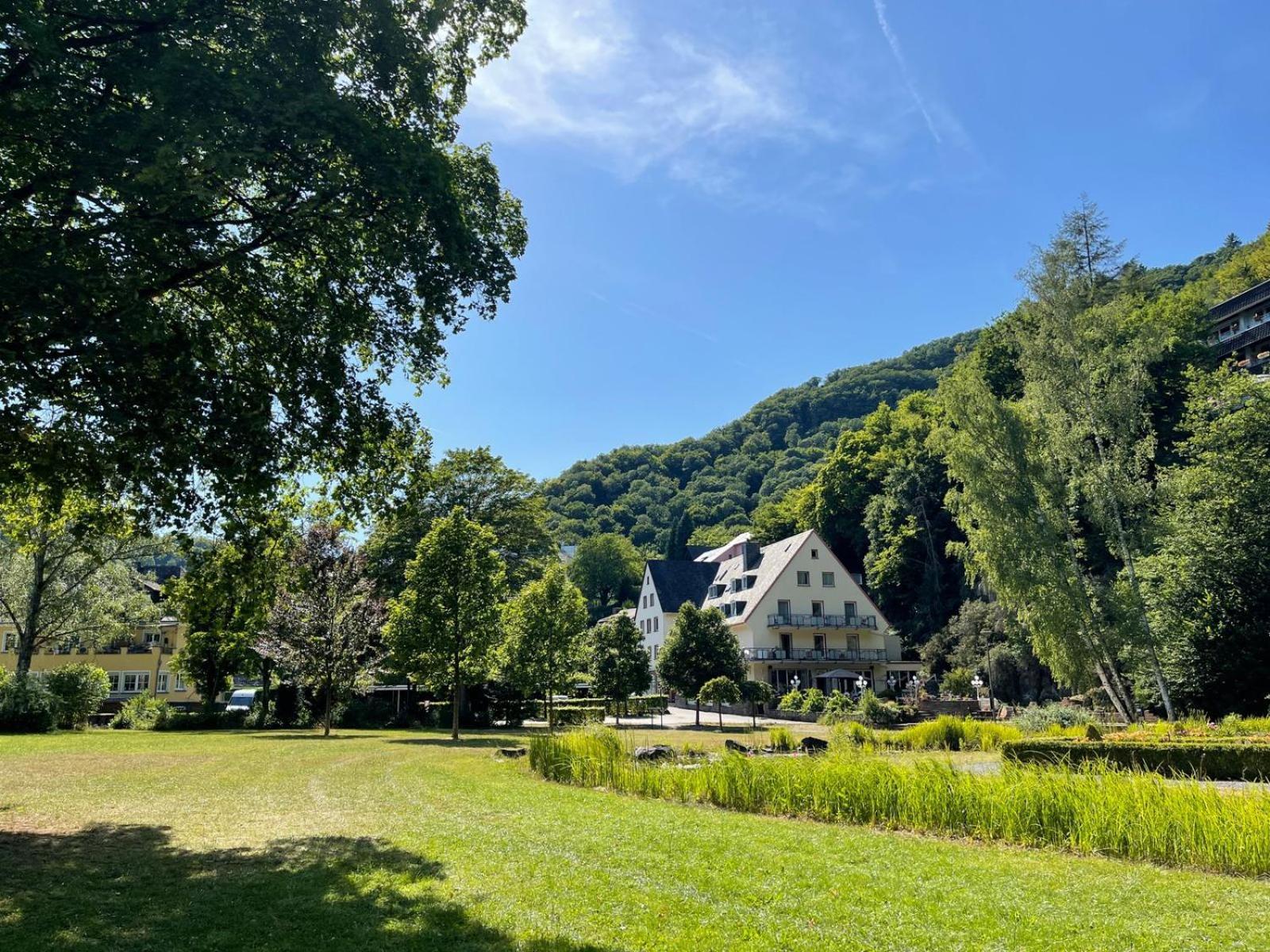 Hotel Alte Muehle 巴特贝特里希 外观 照片